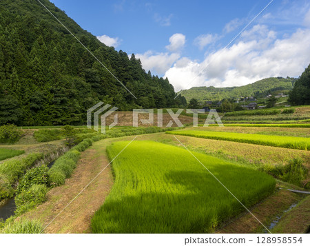豬名川町柏原地區的梯田景觀 豬名川町柏原地區的梯田景觀 128958554