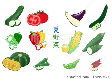 夏天菜例證集合 128959674