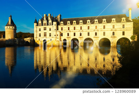View from Cher river of Chateau de Chenonceau 128960089