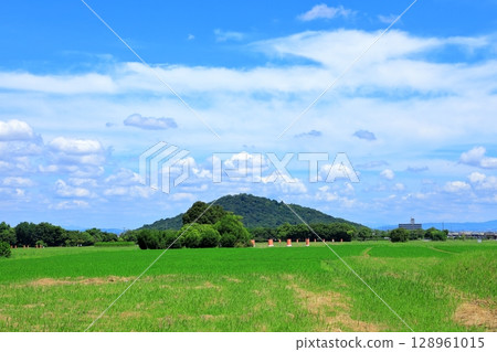 從歷史悠久的藤原京朱雀王子大道遺址眺望三梨山 128961015
