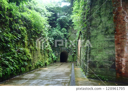 雨後的猿島，路面濕漉漉的。城址隧道（神奈川縣橫須賀市） 128961705