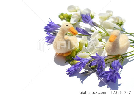 Blue-purple triteria, white summer sweet pea and felt duck 128961767
