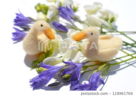 Blue-purple triteria, white summer sweet pea and felt duck 128961768