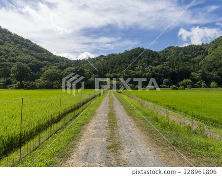 Farm road through the countryside 128961806