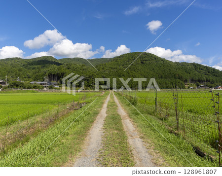 穿過鄉村的農路 穿過鄉村的農路 128961807