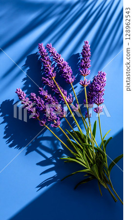 Soft violet shadows of lavender sprigs appear on a sunlit blue background 128962543