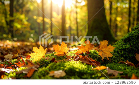Autumn leaves Autumn generation AI background 128962590