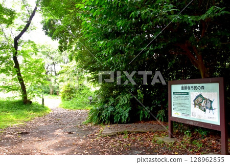 Kanagawa-ku, Yokohama City, Toyokenji Citizens' Forest Walking Path and Information Board 128962855