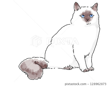 A simple hand-drawn ragdoll A simple hand-drawn ragdoll 128962873