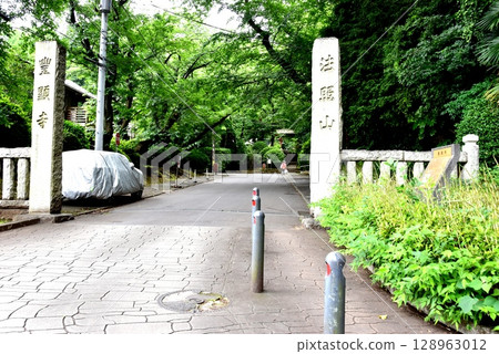 Fresh greenery and the approach to Toyokenji Temple in Kanagawa Ward, Yokohama City Fresh greenery and the approach to Toyokenji Temple in Kanagawa Ward, Yokohama City 128963012