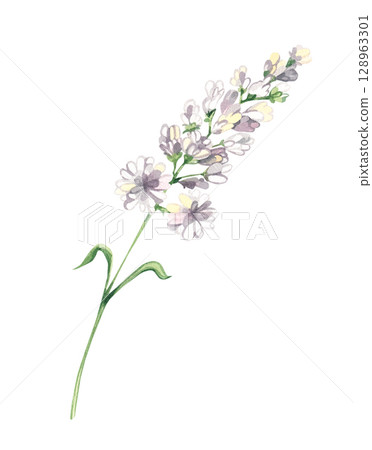 Watercolor color illustration set magic Watercolor color illustration set magic 128963301