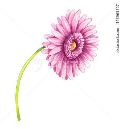 Watercolor color illustration set magic 128963307