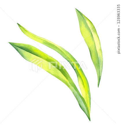 Watercolor color illustration set magic 128963335