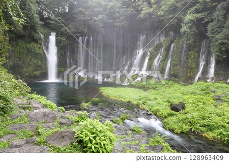 Panoramic view of Shiraito Falls shrouded in mist, Fujinomiya City, Shizuoka Prefecture Panoramic view of Shiraito Falls shrouded in mist, Fujinomiya City, Shizuoka Prefecture 128963409