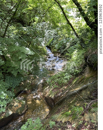 A cool, clear stream in the valley in summer A cool, clear stream in the valley in summer 128963692