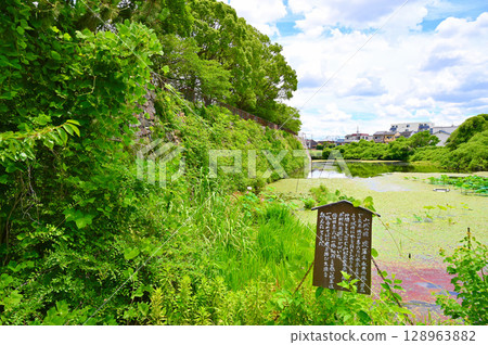 Yodo Castle Ruins, Yodo Castle Lotus, Yodohime, Kyoto City 128963882