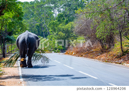 Sri Lankan statue 128964206