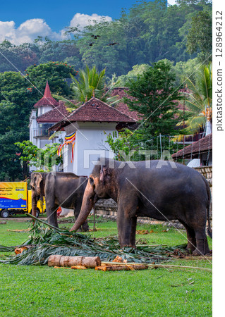 糖果雕像 128964212