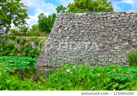 Yodo Castle Ruins, Lotus of Yodo Castle, Stone wall of castle tower base, Kyoto City 128964260