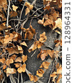 A tree trunk covered with smaller branches with dried brownish leaves in autumn. 128964331