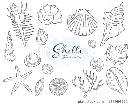 Hand drawn seashell set_vector illustration 128964511