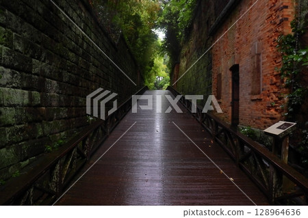 雨後道路濕漉漉的猿島城遺址（神奈川縣橫須賀市） 128964636