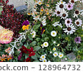 Colorful flower bed with different types of flowers blooming. 128964732