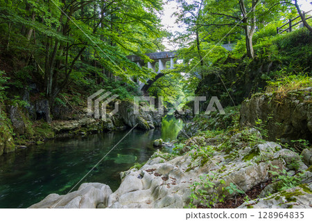 葉山眼鏡橋翠園的鬱鬱蔥蔥 葉山眼鏡橋翠園的鬱鬱蔥蔥 128964835