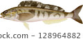 圖解本：阿特卡鯖魚 128964882