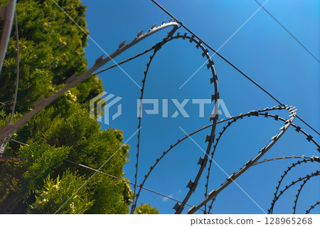 Twisted barbed wire against the background of tree crowns and a blue clear cloudless sky. A symbol of restriction of movement and freedom, the limit of possibilities Twisted barbed wire against the background of tree crowns and a blue clear cloudless sky. A symbol of restriction of movement and freedom, the limit of possibilities 128965268