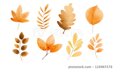 Colorful autumn leaves showcase seasonal beauty, created with AI, PNG 128965578