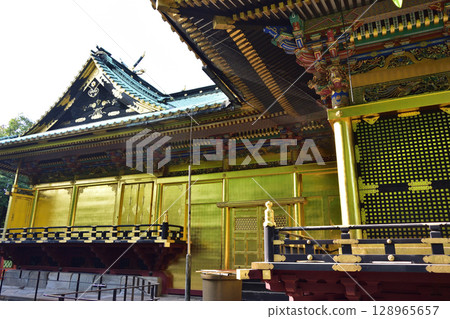 Ueno Toshogu Shrine 128965657