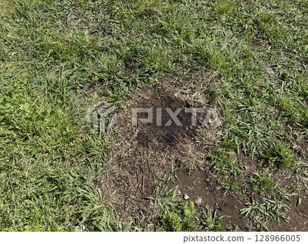 焦土政策 焦土政策 128966005