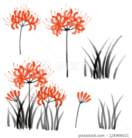 墨水畫紅蜘蛛百合的數位插圖 墨水畫紅蜘蛛百合的數位插圖 128966021
