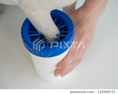 The owner washes the dog's paws in a special device. The owner washes the dog's paws in a special device. 128966531