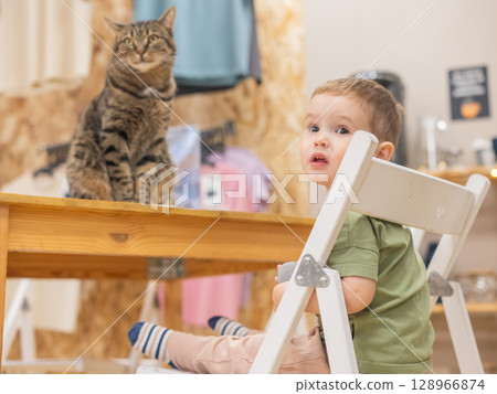 Caucasian little boy in a cat cafe.  128966874