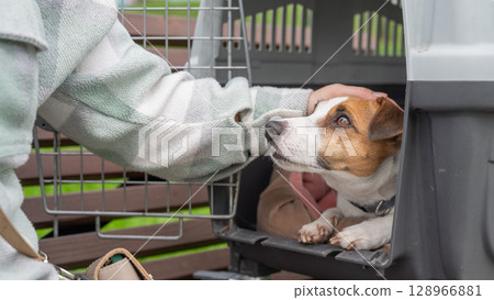 Caucasian woman traveling with dog. Owner sits on bench with Jack Russell Terrier in cage for safe travel. Caucasian woman traveling with dog. Owner sits on bench with Jack Russell Terrier in cage for safe travel. 128966881