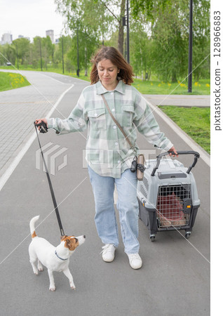 Owner walks Jack Russell Terrier and carries cage for safe travel. Owner walks Jack Russell Terrier and carries cage for safe travel. 128966883