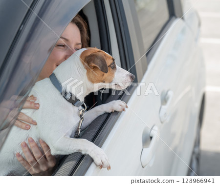 Caucasian woman looking out of car window with dog. Caucasian woman looking out of car window with dog. 128966941