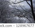 Snow-piled trees 128967677