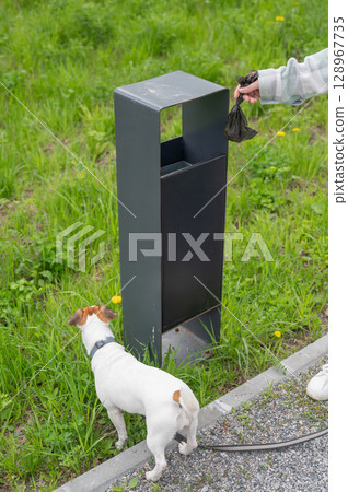 Responsible Dog Owner Disposing of Waste in Park Bin. Responsible Dog Owner Disposing of Waste in Park Bin. 128967735