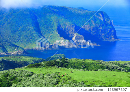 [島根縣] 從摩天崖眺望國賀海岸（隱岐諸島西之島） 128967897