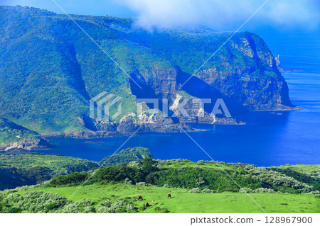 [Shimane Prefecture] Kuniga Coast as seen from Matengai Cliff (Nishinoshima, Oki Islands) 128967900