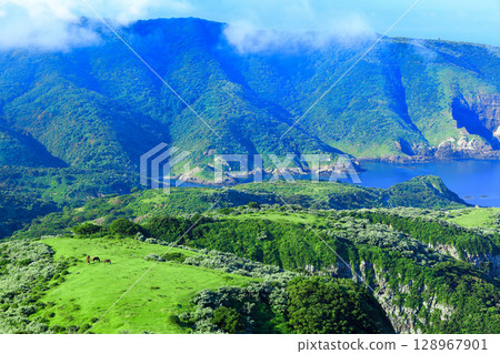 [Shimane Prefecture] Kuniga Coast as seen from Matengai Cliff (Nishinoshima, Oki Islands) 128967901
