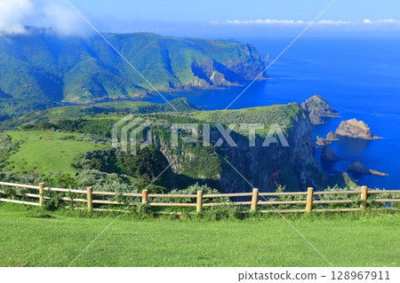 [Shimane Prefecture] Kuniga Coast as seen from Matengai Cliff (Nishinoshima, Oki Islands) 128967911
