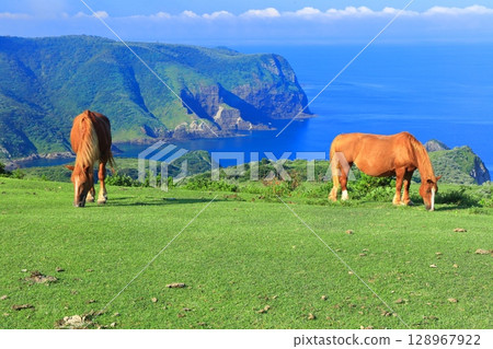 [Shimane Prefecture] Kuniga Coast as seen from Matengai Cliff (Nishinoshima, Oki Islands) 128967922