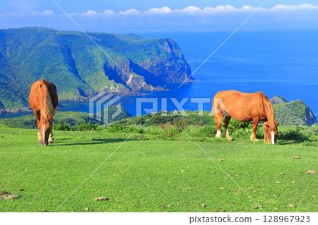 [Shimane Prefecture] Kuniga Coast as seen from Matengai Cliff (Nishinoshima, Oki Islands) 128967923