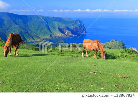 [Shimane Prefecture] Kuniga Coast as seen from Matengai Cliff (Nishinoshima, Oki Islands) 128967924