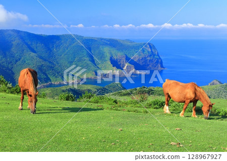 [Shimane Prefecture] Kuniga Coast as seen from Matengai Cliff (Nishinoshima, Oki Islands) 128967927