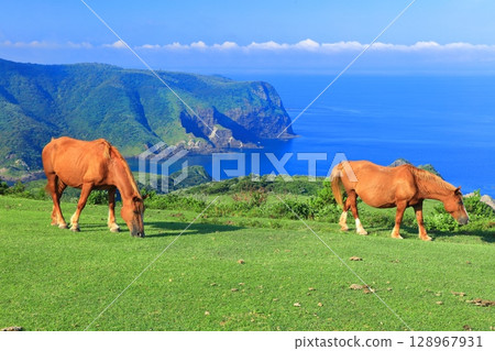 [島根縣] 從摩天崖眺望國賀海岸（隱岐諸島西之島） 128967931